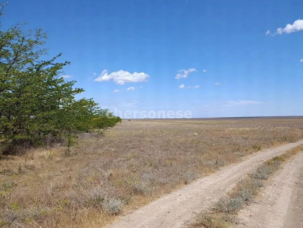 Продажа участка, Наташино, Сакский район, ул. 50 лет ВЛКСМ - Фото 5