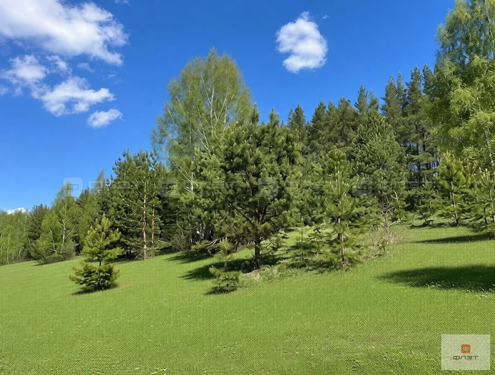 Продажа участка, Большие Кургузи, Зеленодольский район, ул. Красивая - Фото 8