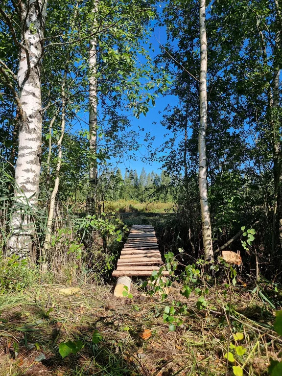 Продажа участка, Большие Пороги, Всеволожский район - Фото 18