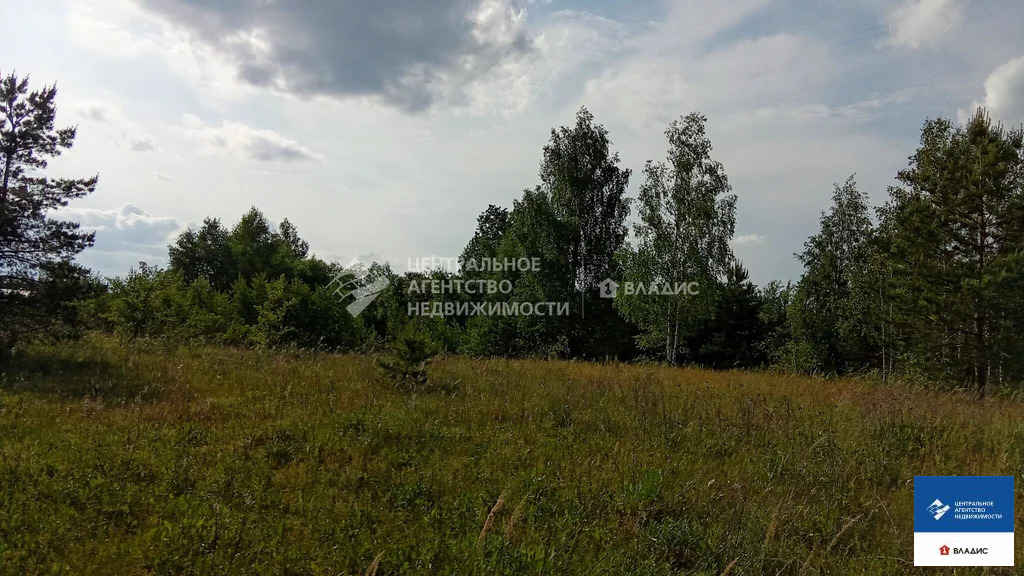 Продажа участка, Рязанский район, садоводческое товарищество ... - Фото 6