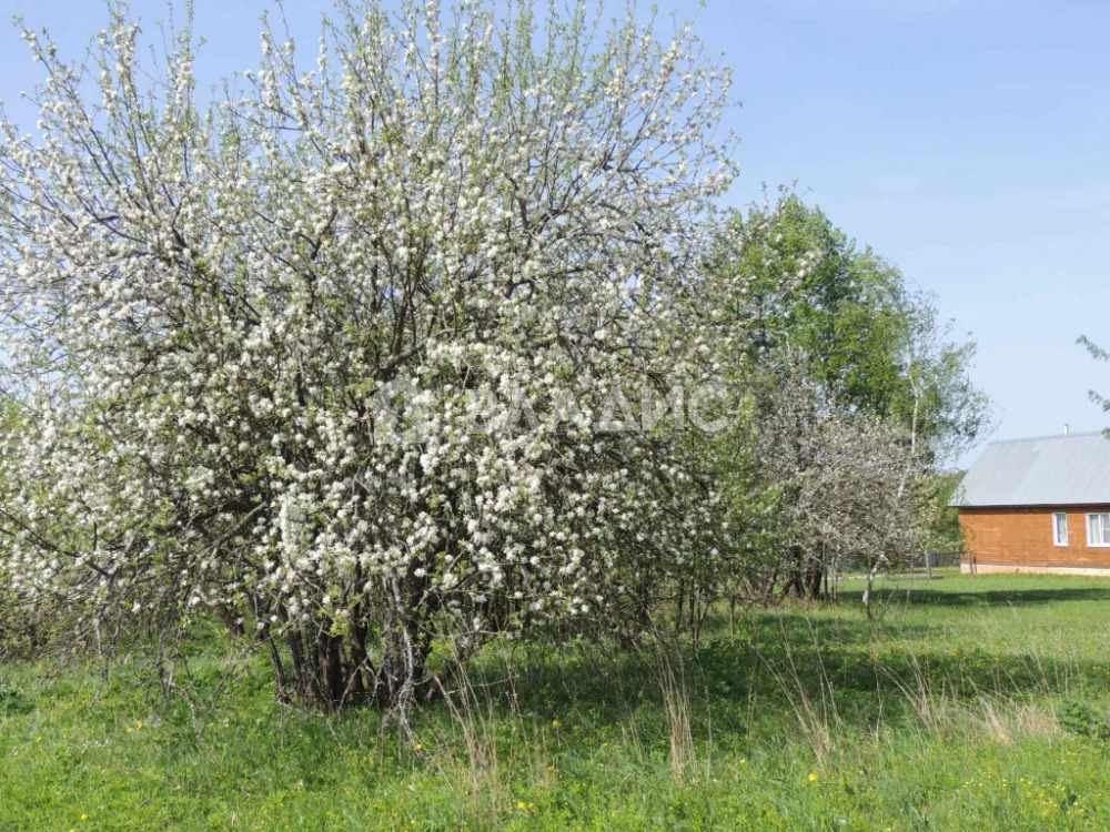 Камешковский район, деревня Ивишенье, дом на продажу - Фото 15