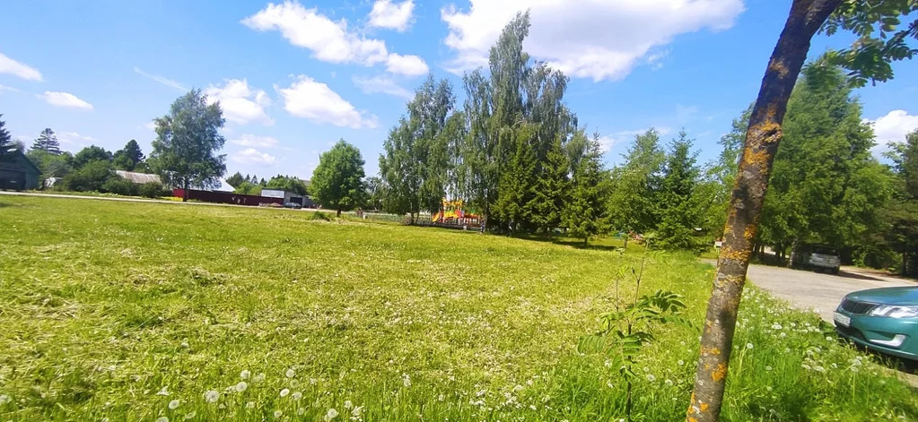 Можайск зеленая. Село Тропарево Можайский район. Тропарево Можайский район. Тропарево Можайский район фото. С тропарёво Можайский район фото речка.