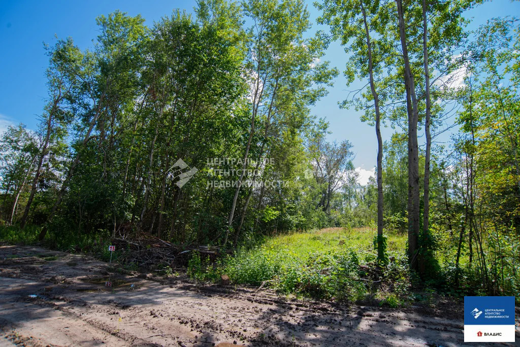 Продажа участка, Ушмор, Клепиковский район - Фото 17