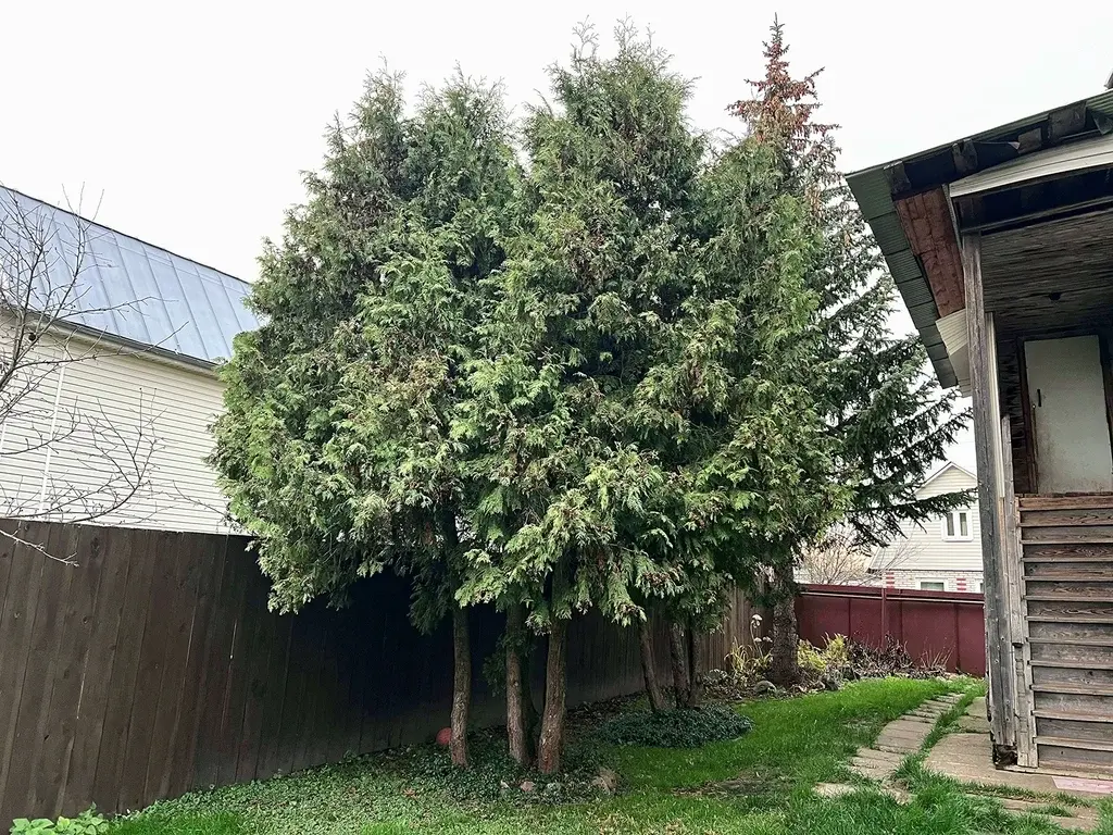 Дом в СНТ Соколово - Фото 9