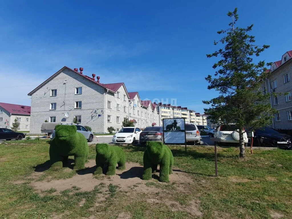 Продажа квартиры, Октябрьский, Мошковский район, ул. Локтинская - Фото 17