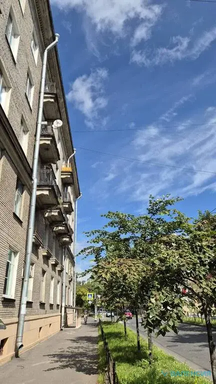 Аренда помещения 186м2 у ст м Черная речка. - Фото 19