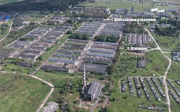 Продажа производственного помещения, Телези, Ломоносовский район - Фото 12