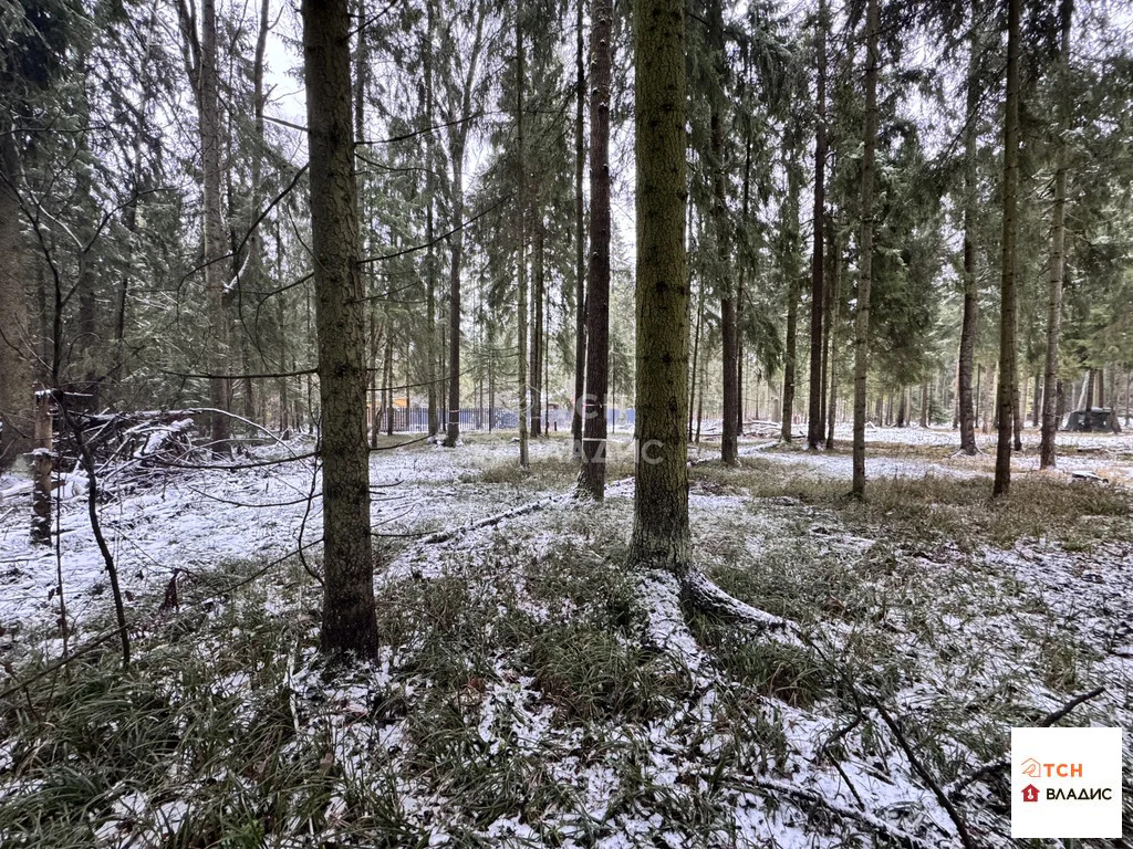 Продажа участка, Могильцы, Лотошинский район - Фото 7