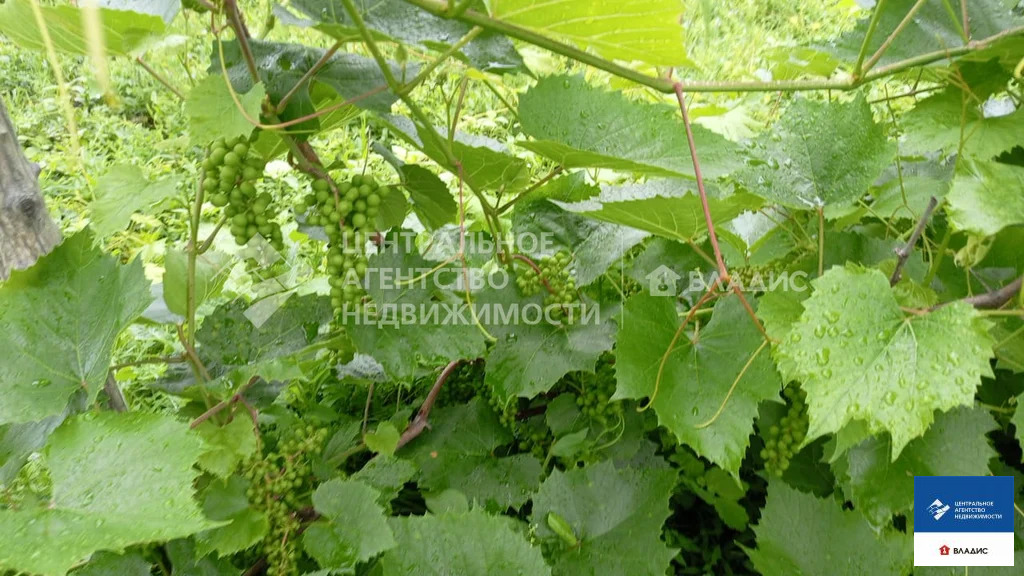 Продажа дома, Федоровка, Михайловский район, улица Новый Посёлок - Фото 17