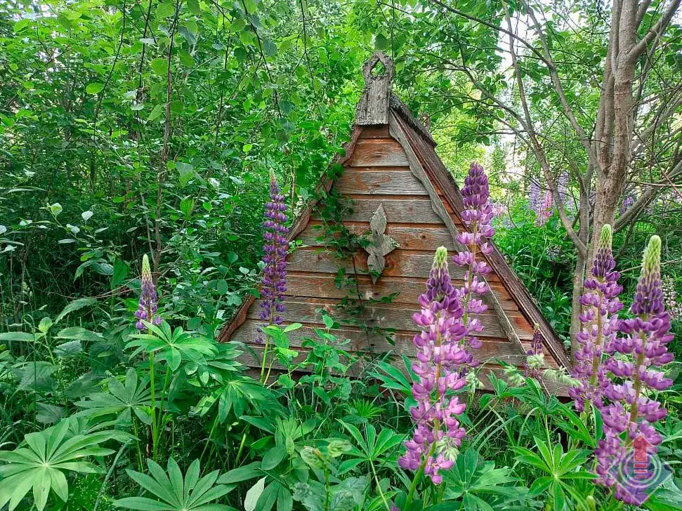 Продажа лесной дачи на 10 сот. в СНТ Порядино, Наро-Фоминский район - Фото 6