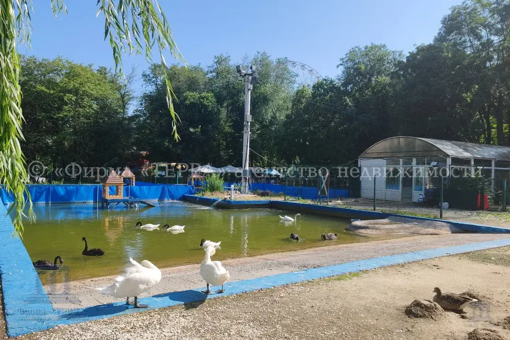 Продаю 3к квартиру в ЖК Триумф в центре Ростова-на-Дону парк Революции - Фото 43