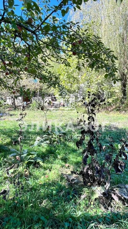 Продажа участка, Дефановка, Туапсинский район - Фото 5