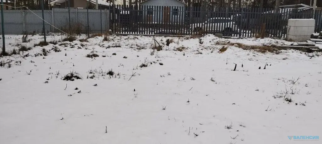 Продажа ЗУ в СНТ Сосновый бор, Куйвозовское СП, ж/д ст. 47 км - Фото 5