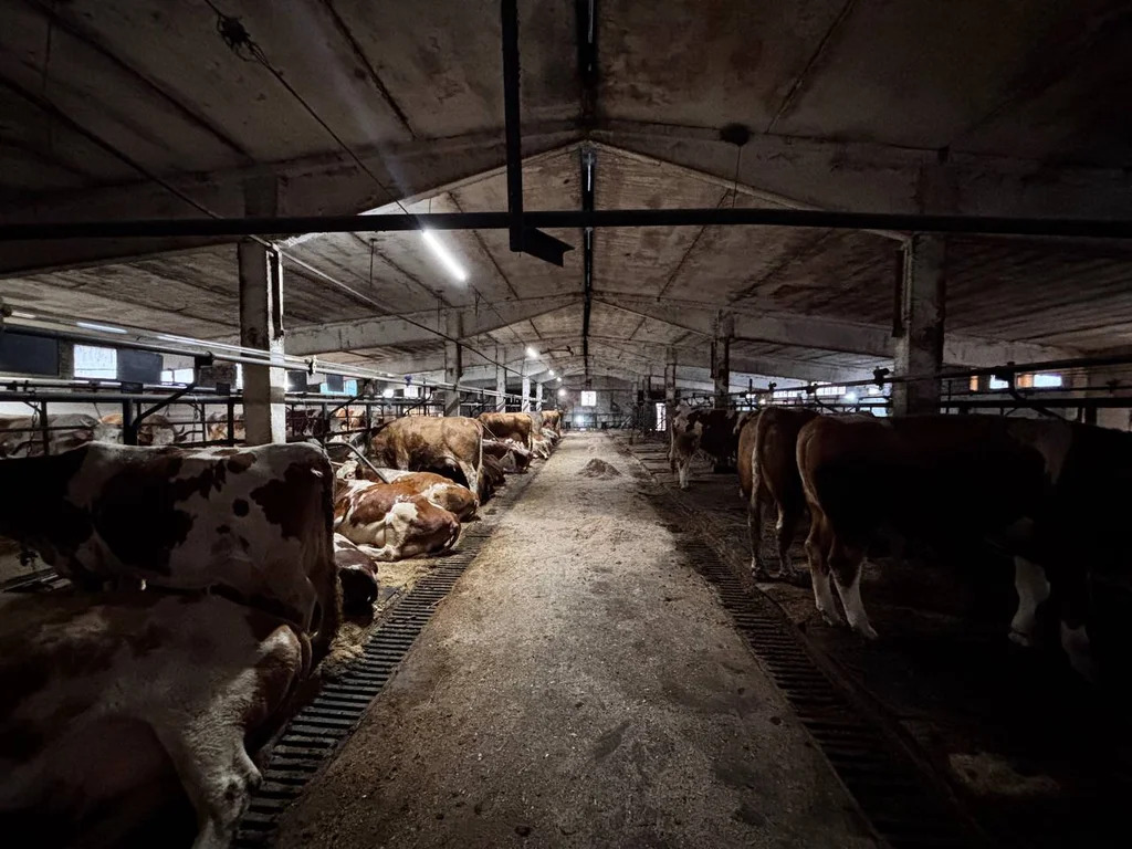 Аренда производства 3350 м2 - Фото 2