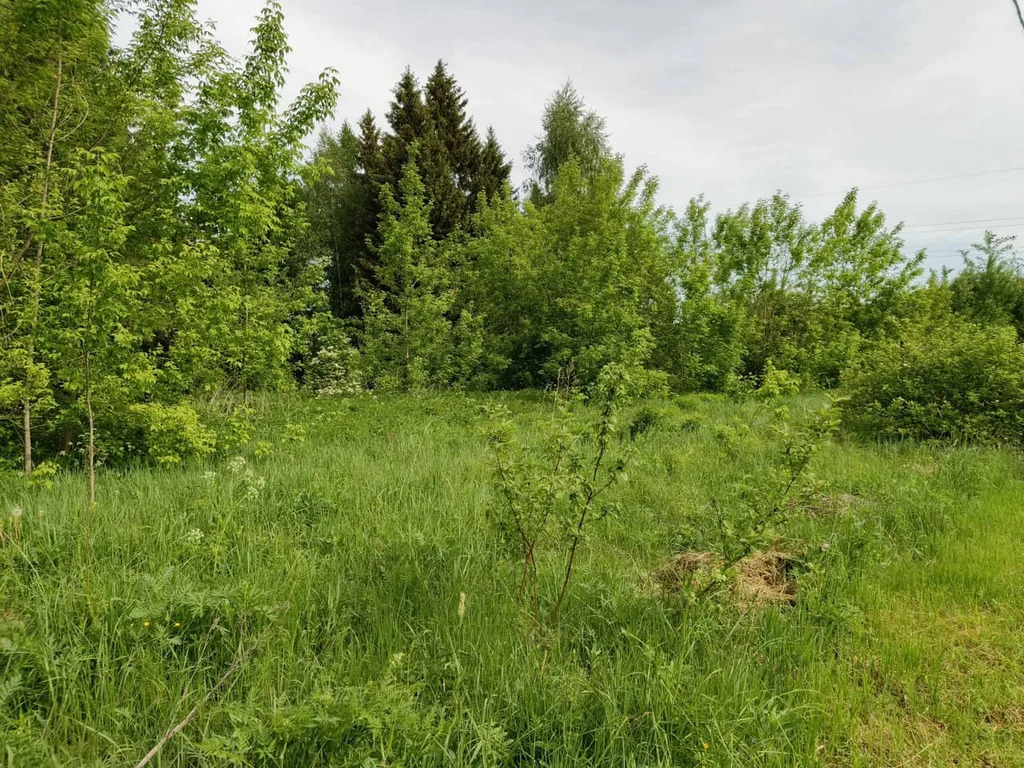 Продажа участка, Батюшково, Дмитровский район - Фото 3