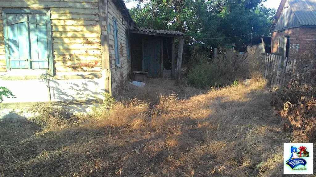 Продам старенький дом с большим участком земли возле моря. - Фото 2