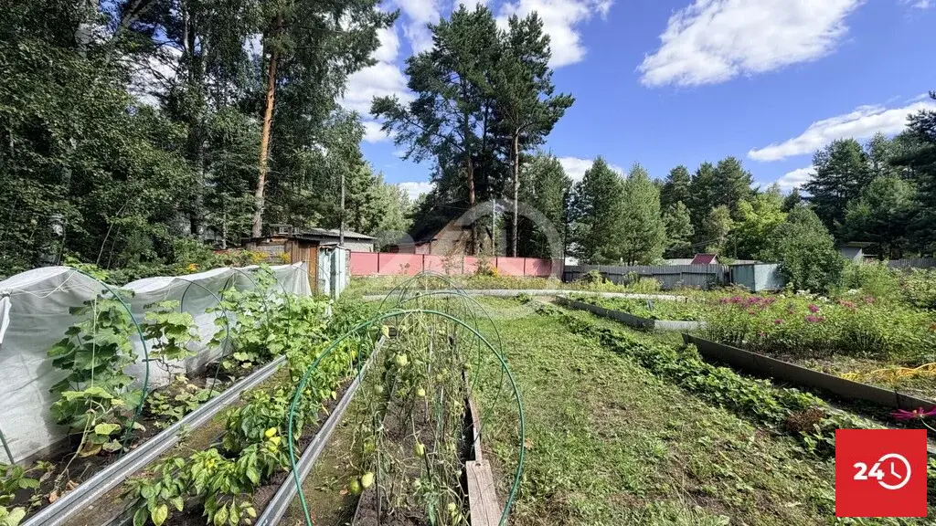 В продаже дача в лесу СНТ Сосенки - Фото 20