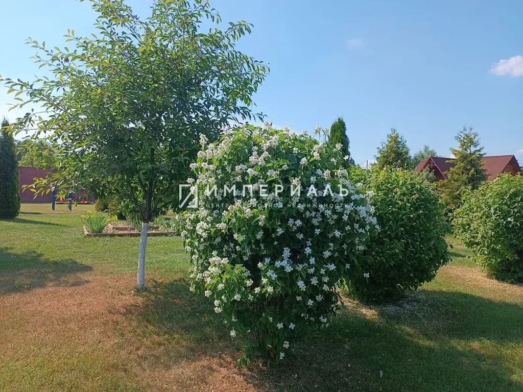 Продается великолепная загородная усадьба в д. Любицы Жуковского р-на - Фото 43