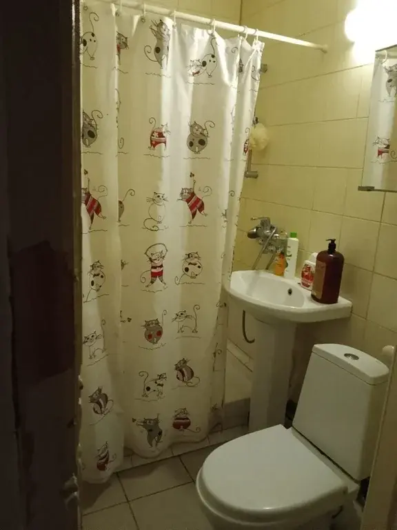 г.о. Пушкинский, п. Лесные Поляны, ул. Ленина, 1 - Фото 13