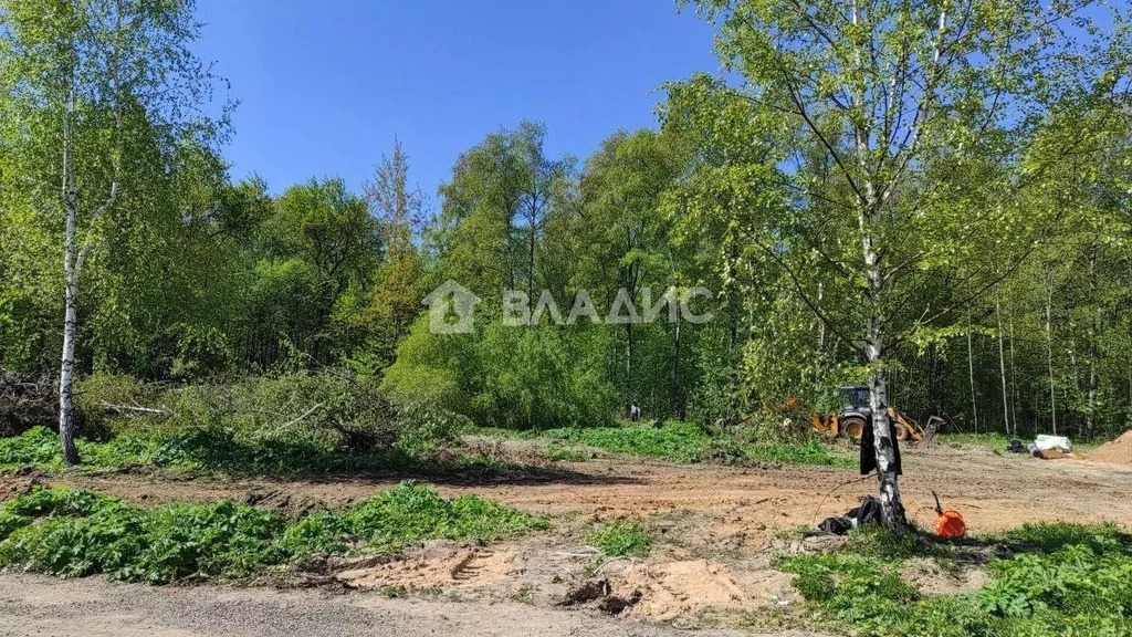 городской округ Мытищи, деревня Аббакумово, Лобненская улица,  земля ... - Фото 1