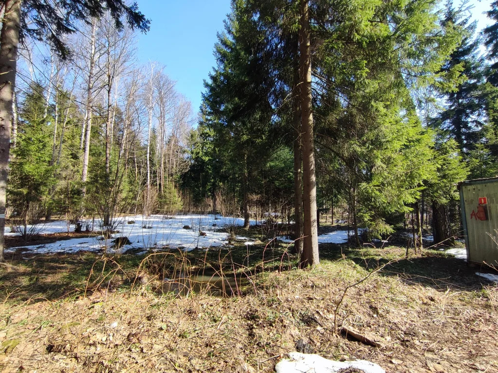 Продажа участка, НИИ Радио, Одинцовский район, Тыльная улица - Фото 3