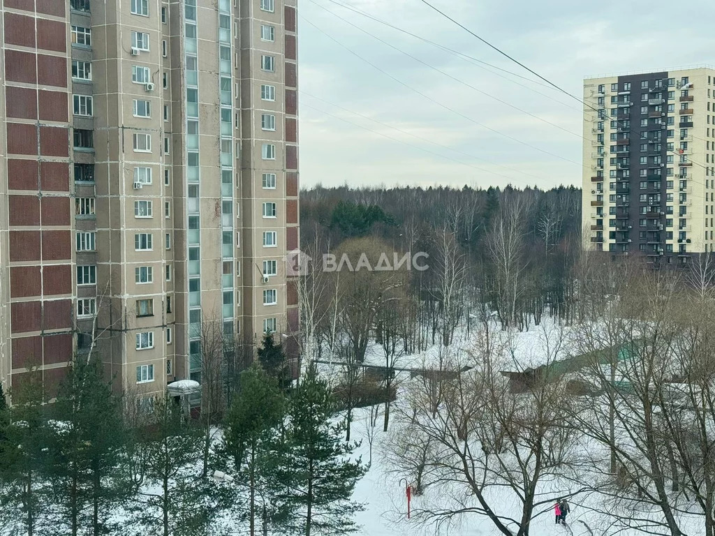 городской округ Лобня, Лобня, улица Калинина, д.19А, 1-комнатная . - Фото 14