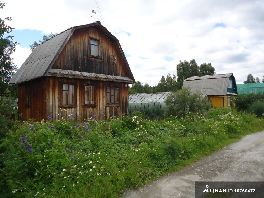 Поселок палкинский торфяник екатеринбург фото