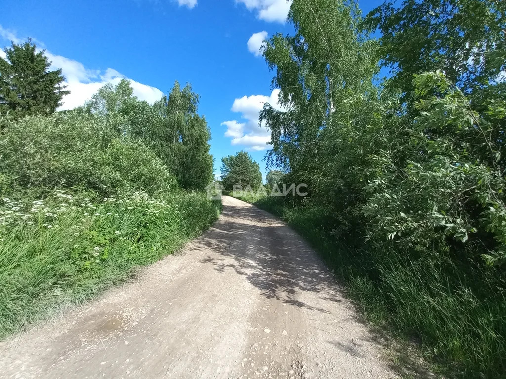 Камешковский район, село Палашкино,  земля на продажу - Фото 6