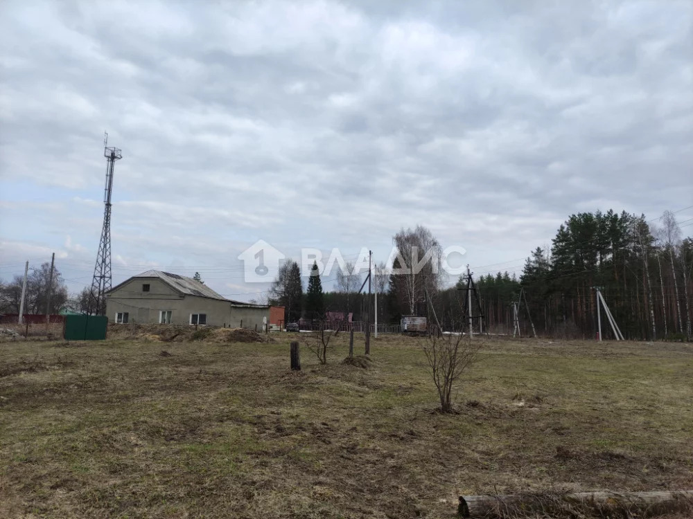 Судогодский район, село Мошок,  земля на продажу - Фото 10