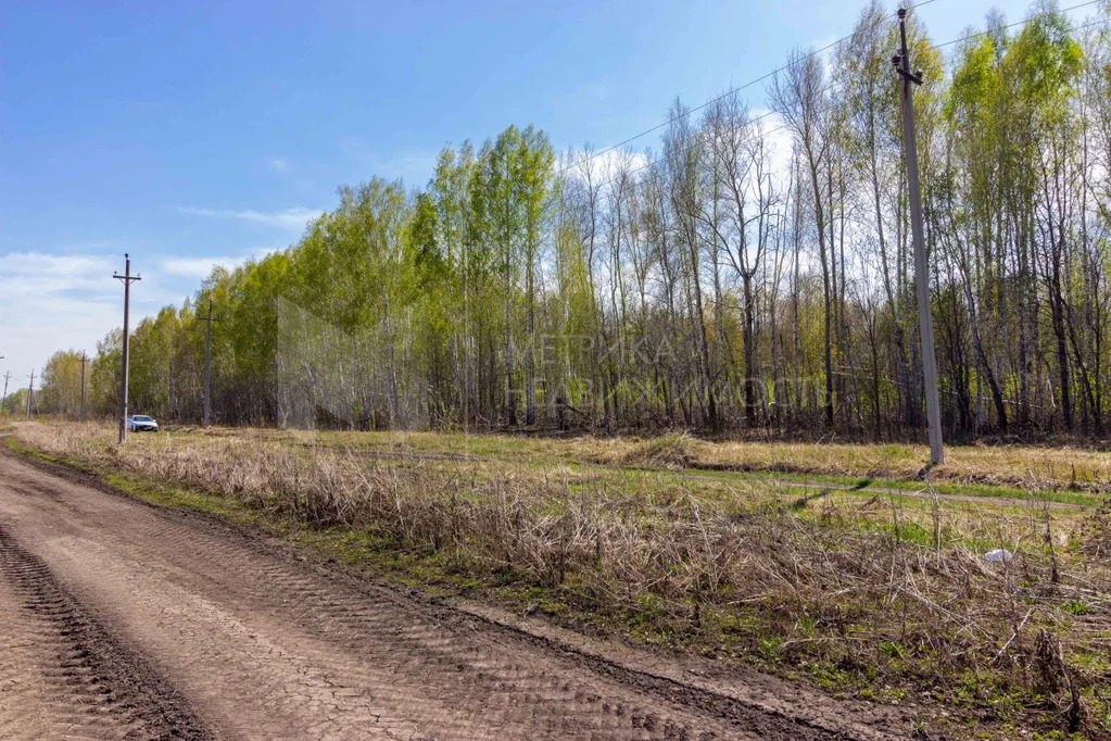 Село Горьковка. Горьковка Тюменская область. Горьковка.