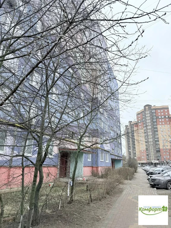Продажа квартиры, Раменское, Раменский район, ул. Чугунова - Фото 8