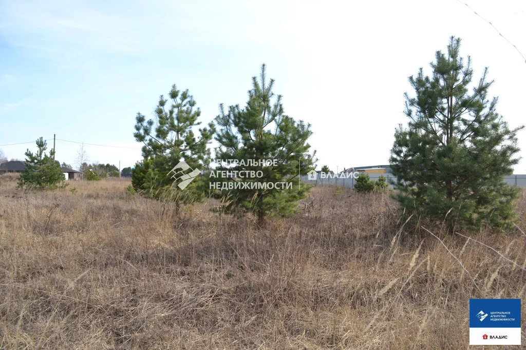 Продажа участка, Рязанский район - Фото 2