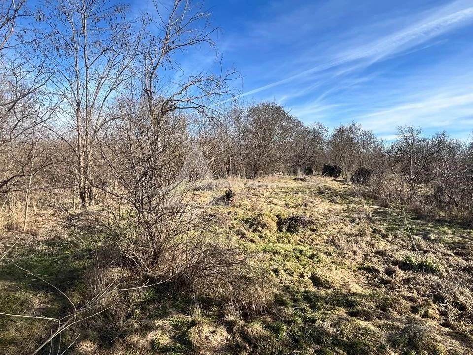 Продажа дома, Зеленокумск, Советский район, ул. Крупской - Фото 14