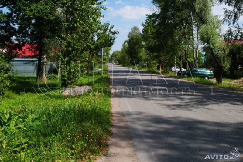 Красный Бор Фото Ленинградская Область