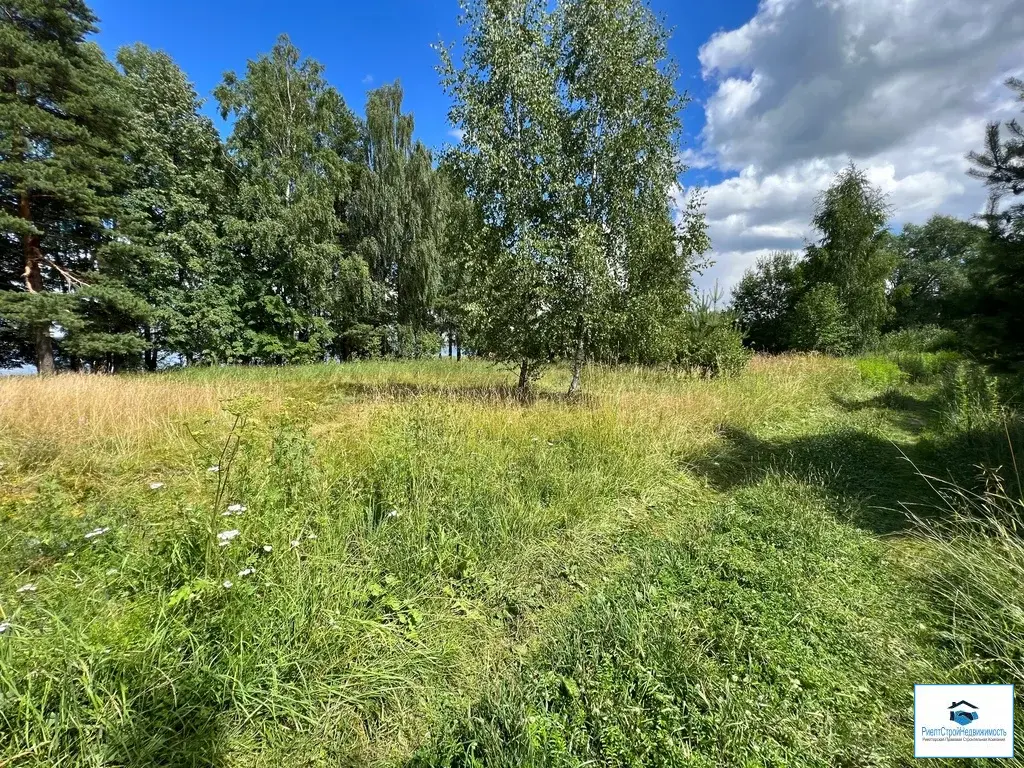 Участок в деревне Волынщино на первой линии Озернинского водохранилища - Фото 9