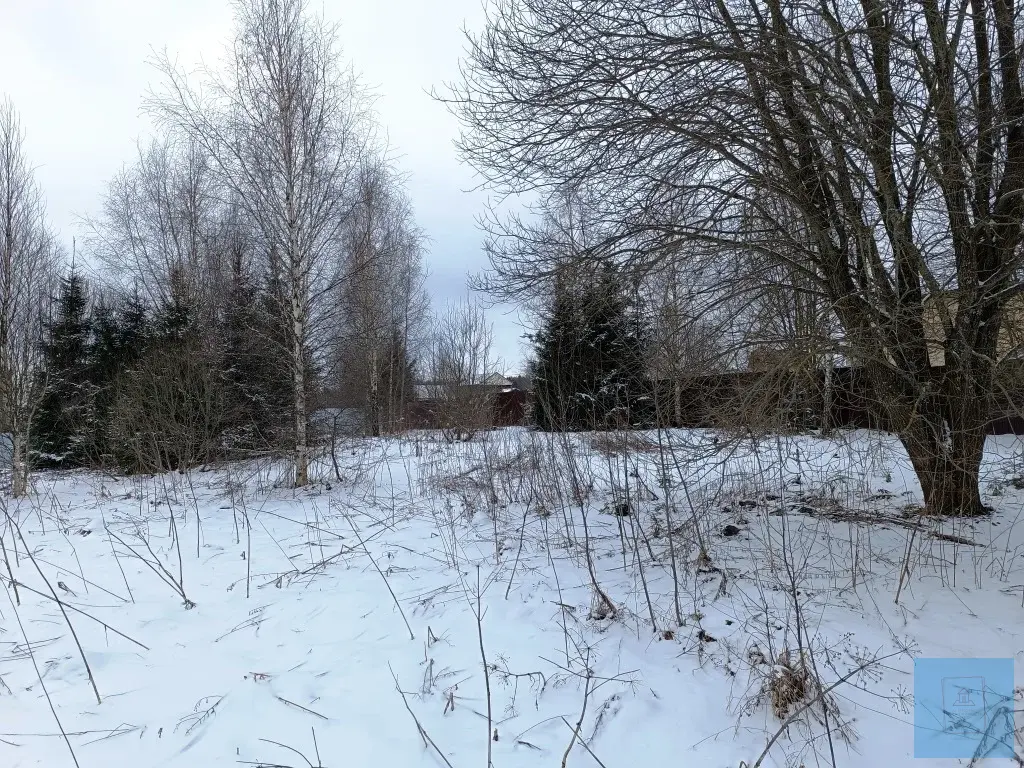 15 соток ИЖС в д. Смирновка, ул. Дачная - Фото 1