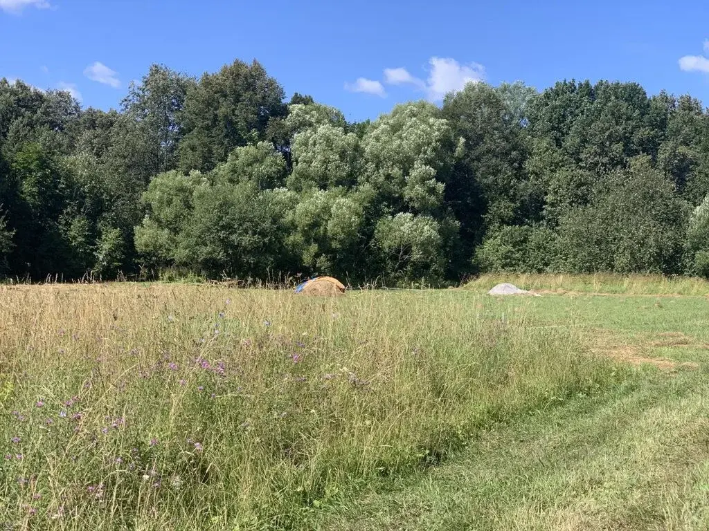 Продажа участка 12.0 сот. Тульская область, Алексин городской округ, ... - Фото 5