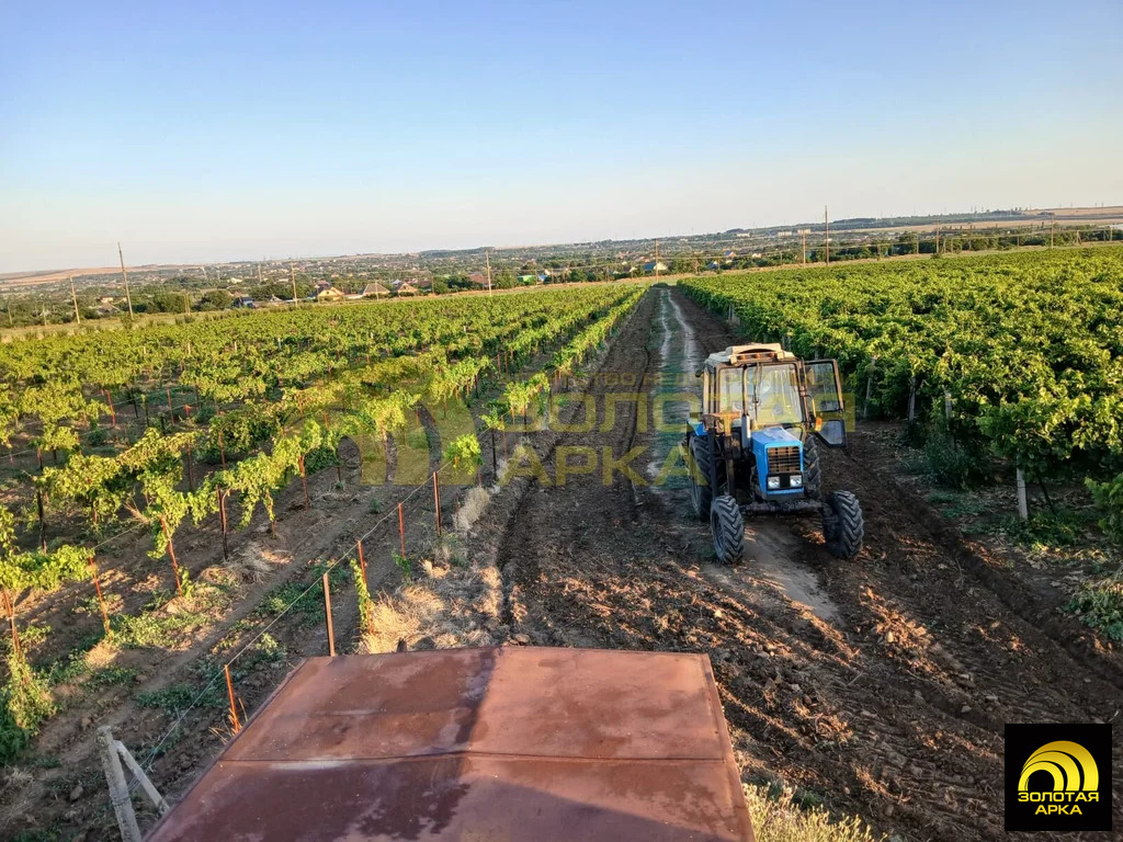 Продажа участка, Старотитаровская, Темрюкский район, Ильича пер. - Фото 5