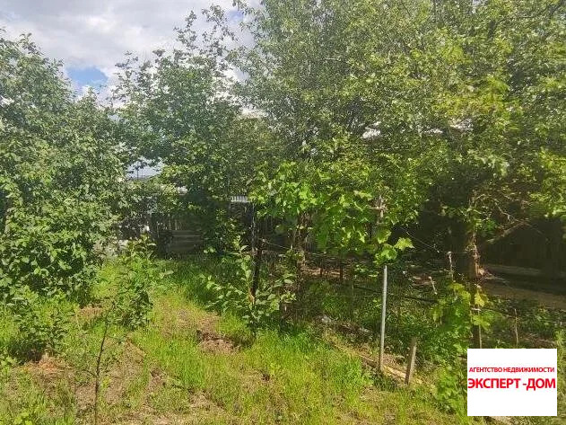 Продажа дома, Неклиновский район, 131 - Фото 4