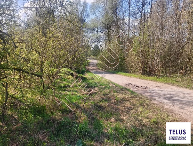 МО, Ногинский район, д Дядькино, 4 Га, Участок под гостиницу, ... - Фото 19