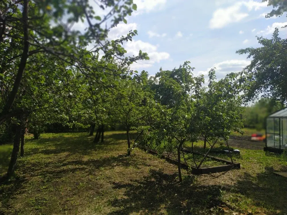 Сдам дом длительно, в селе Чемодановка (Бессоновский район), недорого. - Фото 2