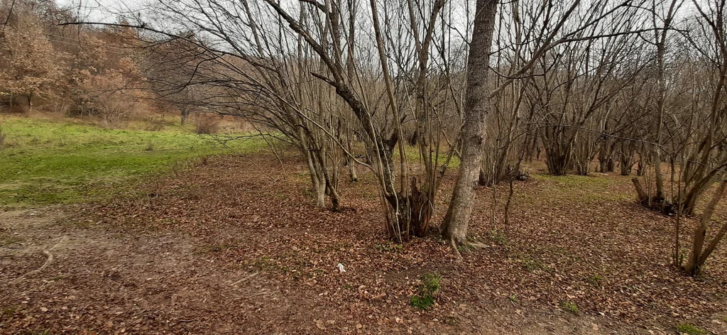 Продажа участка, Соколиное, Бахчисарайский район, ул. Ялтинская - Фото 10