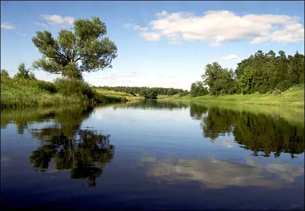 Продажа участка в КП Рамецкое - Фото 4