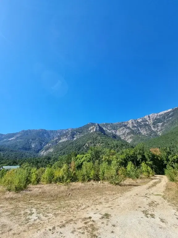 Уникальный участок, у горной реки - Фото 3