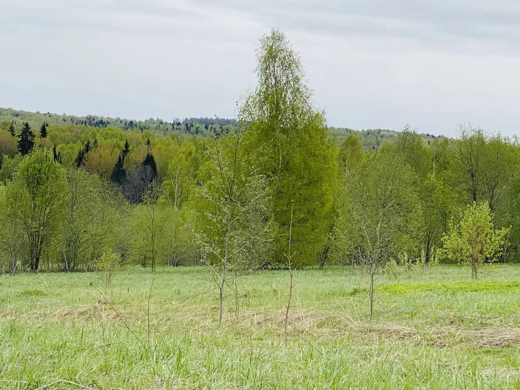 Продажа участка, Горбово, Дмитровский район - Фото 9