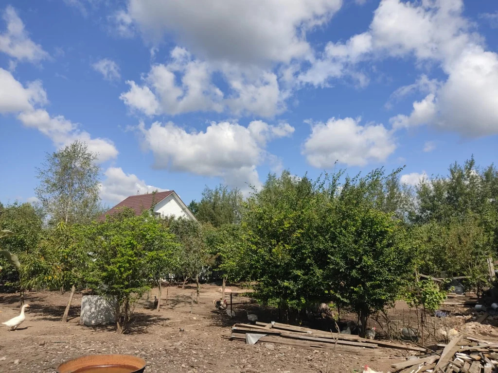 Продажа участка, Цибино, Воскресенский район - Фото 1