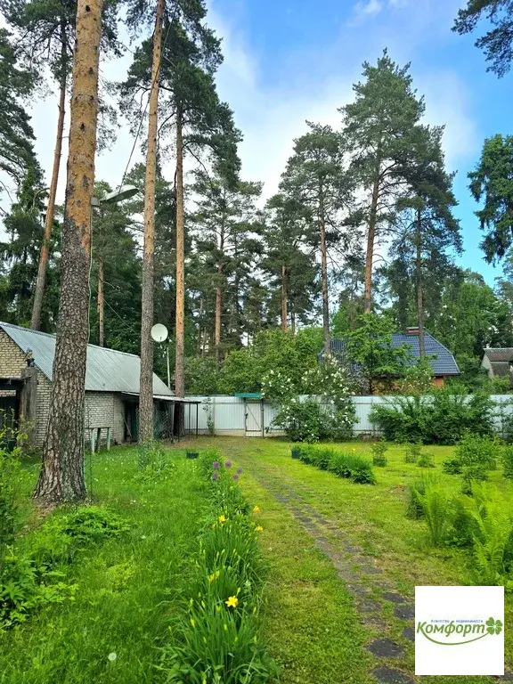 Продается участок 30 сот. в черте гор. Раменское, ул. Сосновая, уч.10 - Фото 9