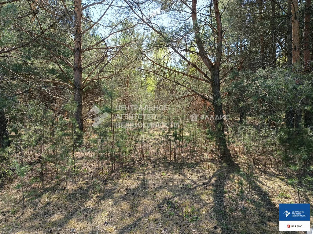 Продажа участка, Спасский район, садоводческое товарищество Луч-1 - Фото 2