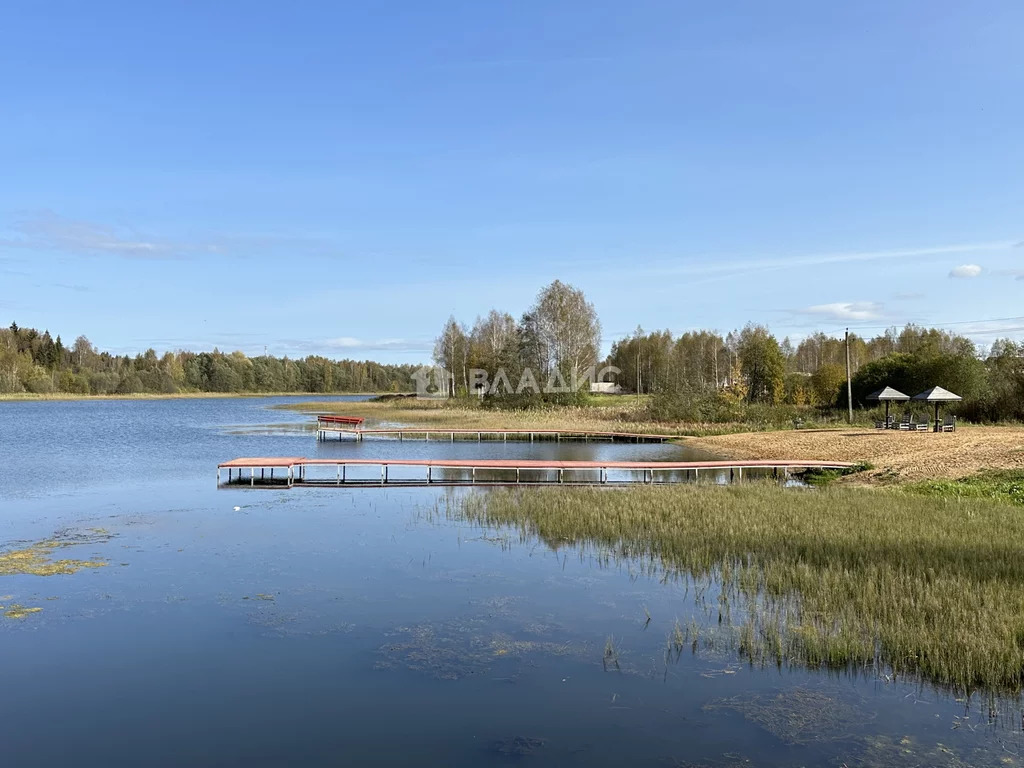 городской округ Истра, коттеджный посёлок Дольче Вита,  дом на продажу - Фото 41