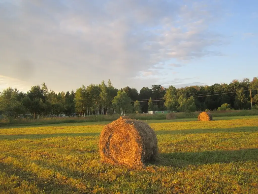 !00 соток рядом с Окой/ 50 тыс. за сотку. - Фото 5